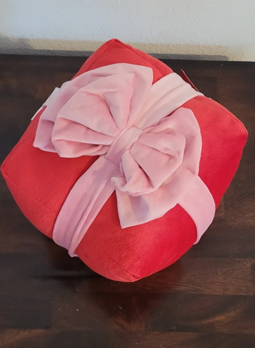 NWT Ashland Berry Jooly Red And Pink Holiday Gift Pillow